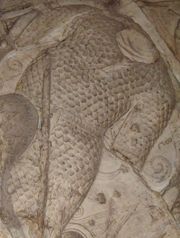 Dacian scale armour on Trajan's column.